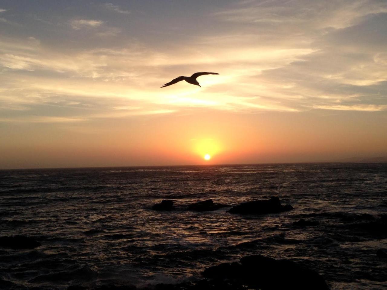 Little Sur Inn Cambria Esterno foto